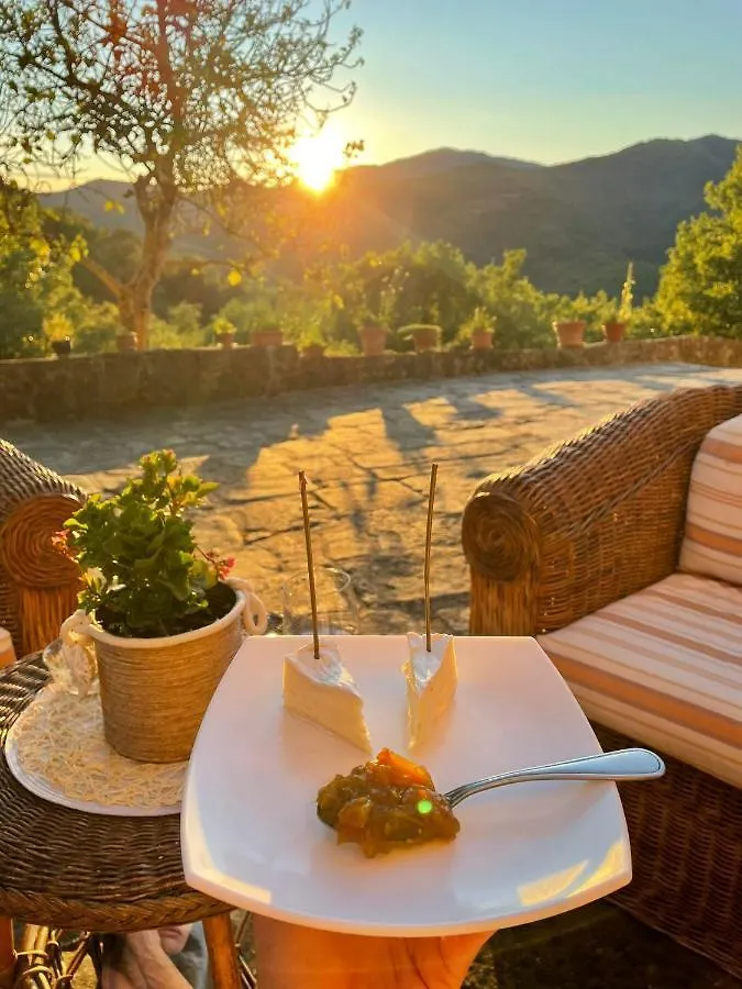 Country Residence Turicchi Londa