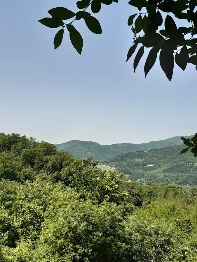 Country Residence Turicchi Londa Appartamento
